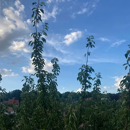 Le Petit Mirabellier Saulny