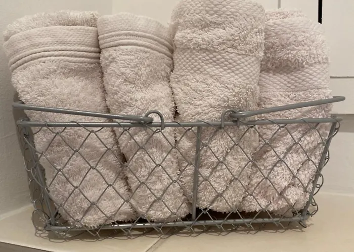 Le Petit Mirabellier Saulny