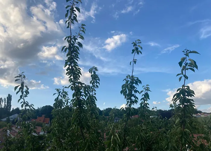 Le Petit Mirabellier Saulny